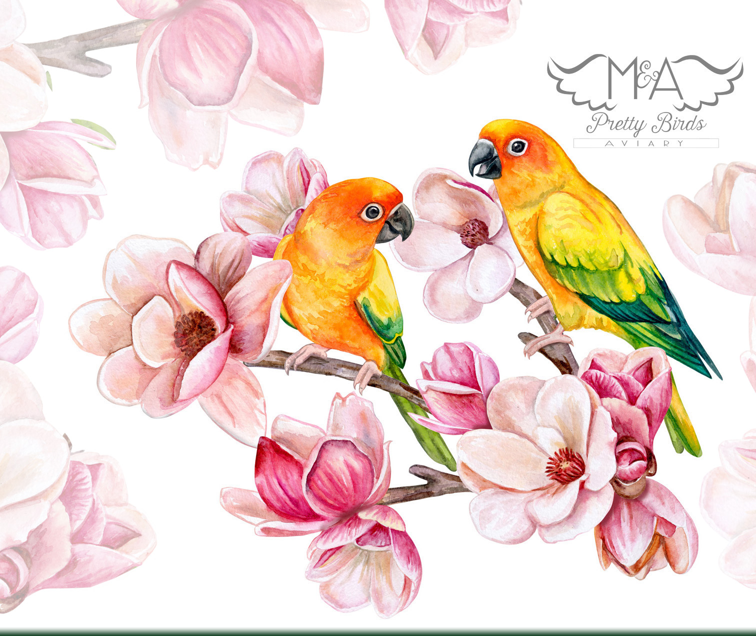 M & A Pretty Birds Aviary Illustration